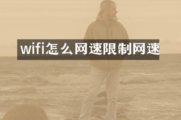 wifi怎么网速限制网速