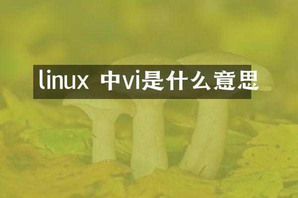 linux 中vi是什么意思