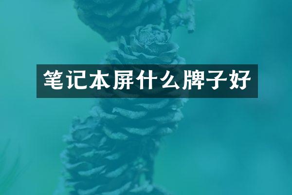 笔记本屏什么牌子好