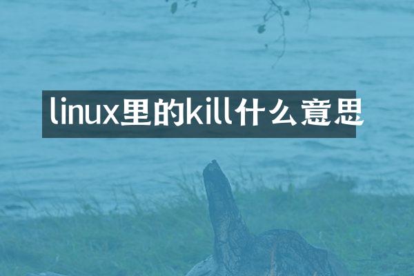 linux里的kill什么意思