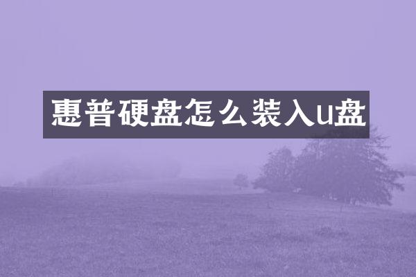 惠普硬盘怎么装入u盘