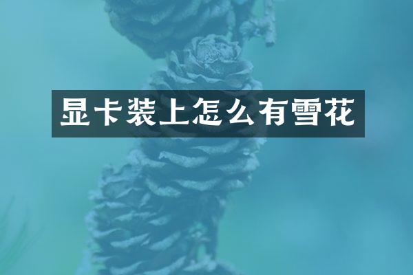 显卡装上怎么有雪花