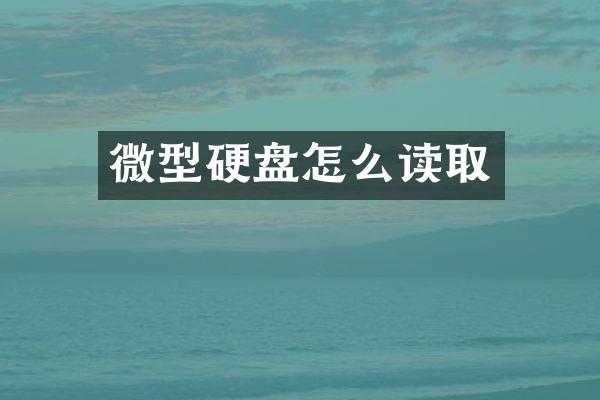 微型硬盘怎么读取