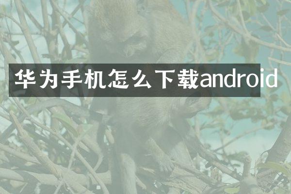 华为手机怎么下载android