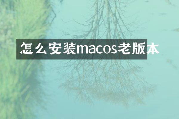 怎么安装macos老版本