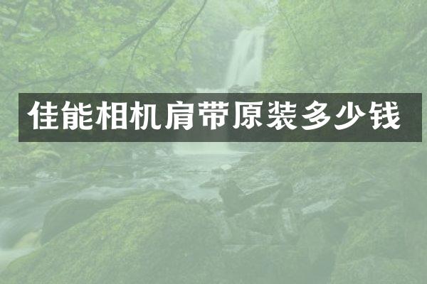 佳能相机肩带原装多少钱