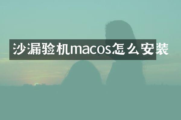 沙漏验机macos怎么安装