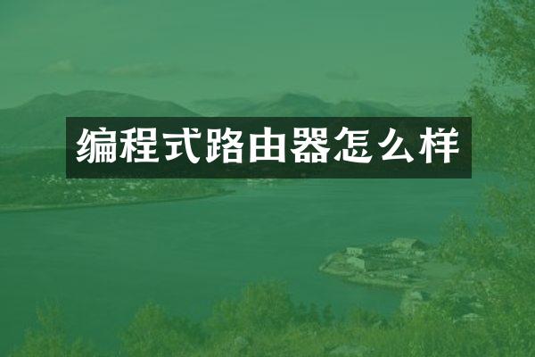 编程式路由器怎么样