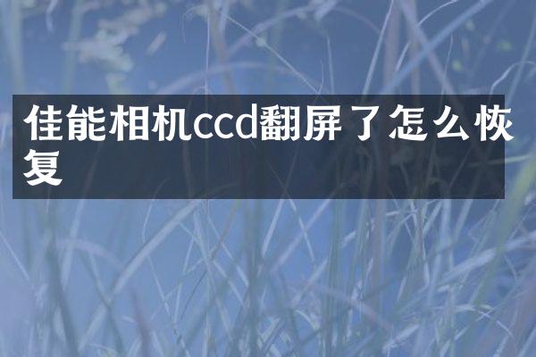 佳能相机ccd翻屏了怎么恢复