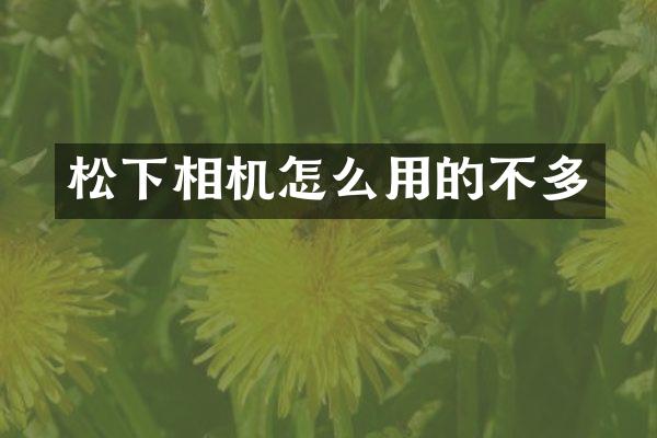 相机怎么用的不多