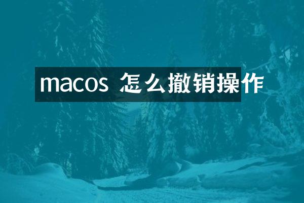 macos 怎么撤销操作