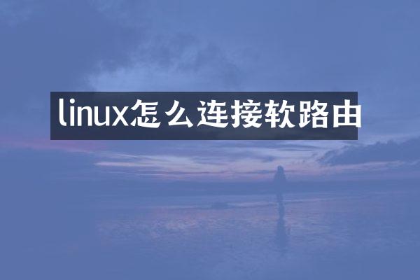 linux怎么连接软路由