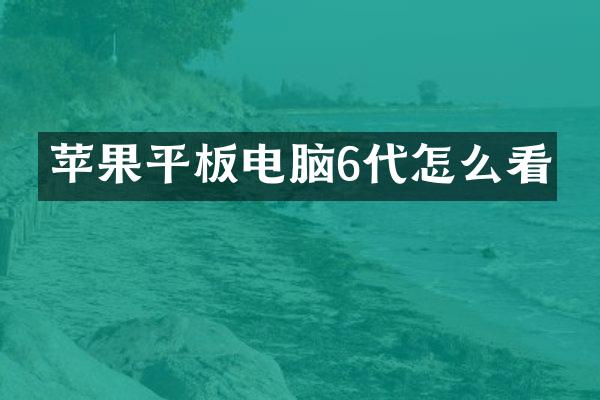 苹果平板电脑6代怎么看