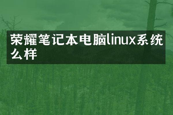 荣耀笔记本电脑linux系统怎么样