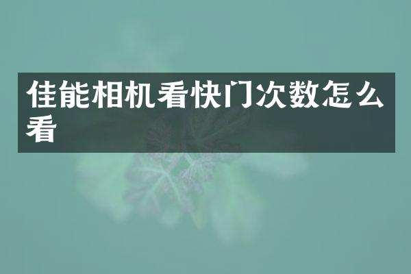 佳能相机看快门次数怎么看