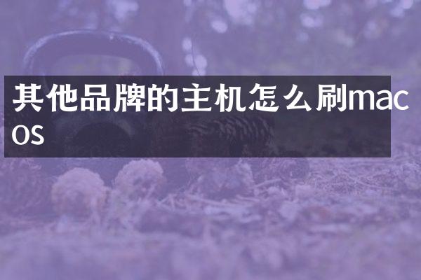 其他品牌的主机怎么刷macos