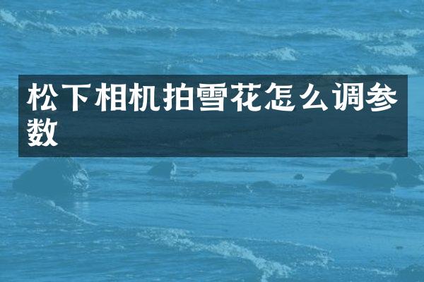 相机拍雪花怎么调参数