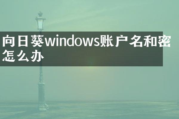 向日葵windows账户名和密码怎么办
