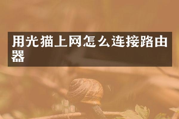 用光猫上网怎么连接路由器