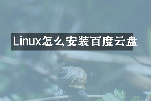 Linux怎么安装百度云盘