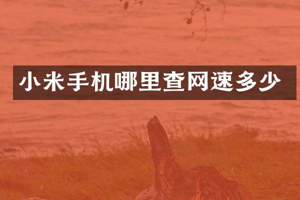 小米手机哪里查网速多少