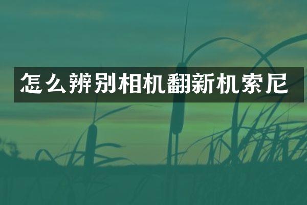 怎么辨别相机翻新机