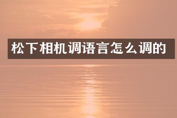 相机调语言怎么调的