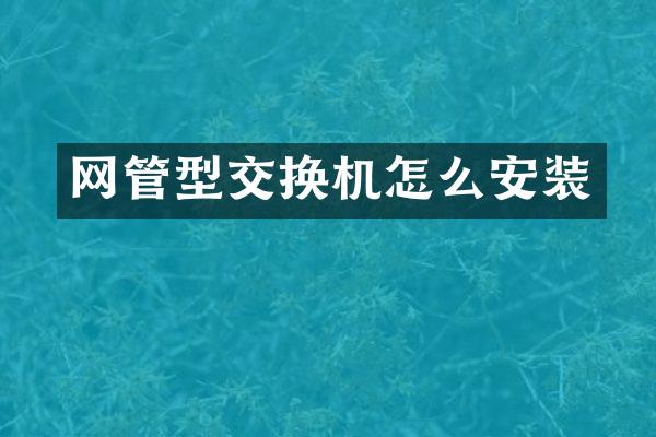 网管型交换机怎么安装