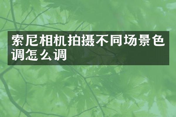 相机拍摄不同场景色调怎么调