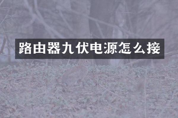 路由器九伏电源怎么接