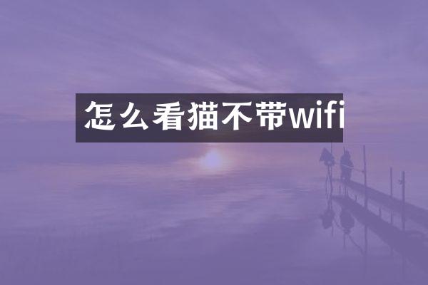 怎么看猫不带wifi