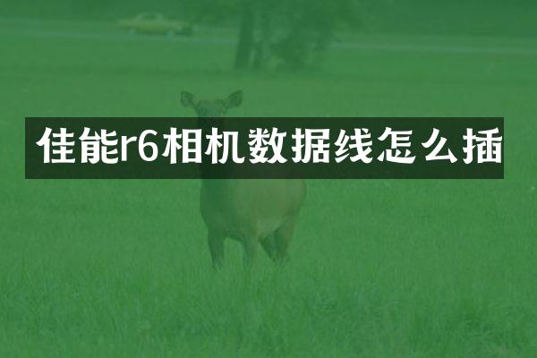 佳能r6相机数据线怎么插
