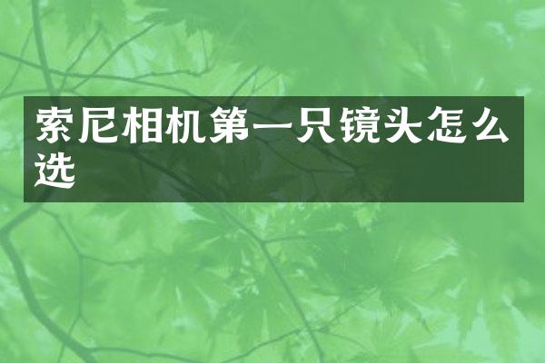 相机第一只镜头怎么选