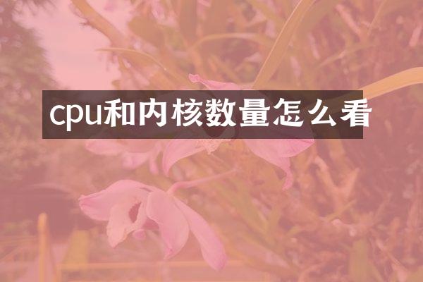 cpu和内核数量怎么看