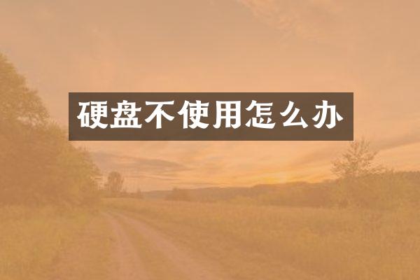 硬盘不使用怎么办