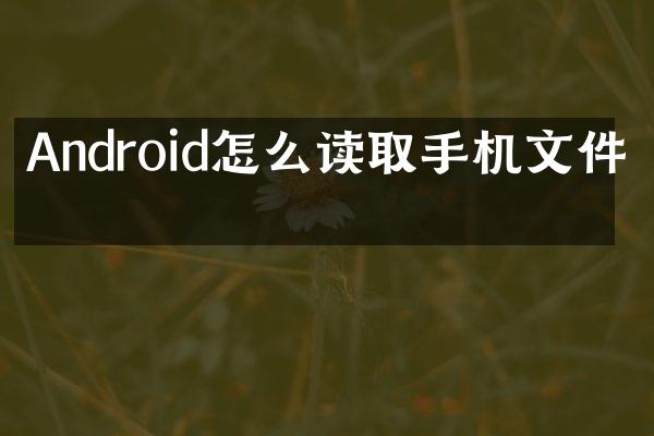Android怎么读取手机文件的