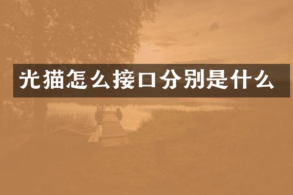 光猫怎么接口分别是什么