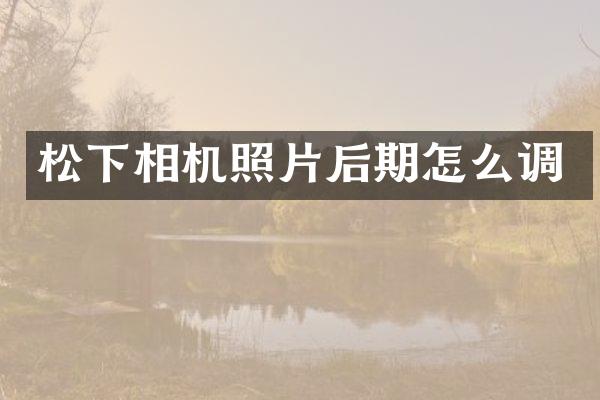 相机照片后期怎么调