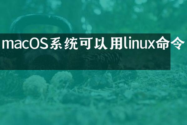 macOS系统可以用linux命令吗