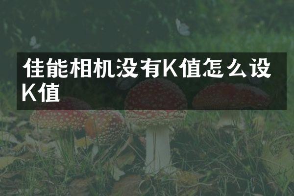 佳能相机没有K值怎么设置K值