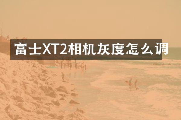富士XT2相机灰度怎么调