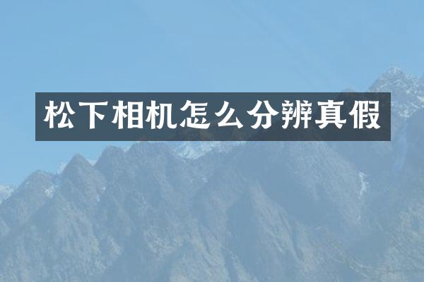 相机怎么分辨真假