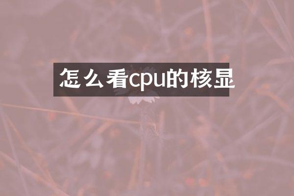 怎么看cpu的核显