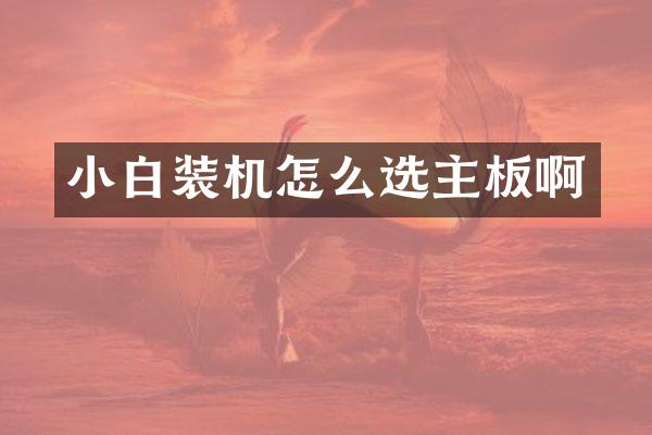 小白装机怎么选主板啊