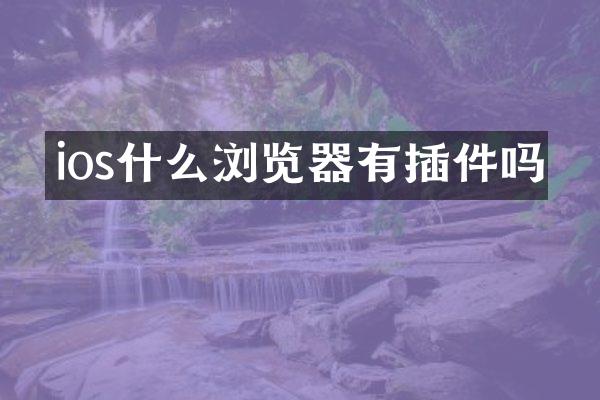 ios什么浏览器有插件吗