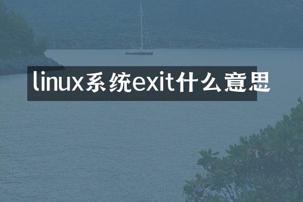 linux系统exit什么意思