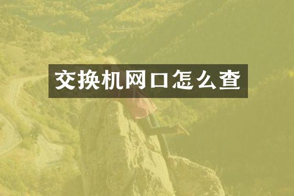 交换机网口怎么查