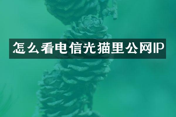 怎么看电信光猫里公网IP