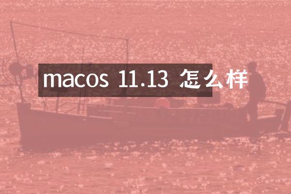 macos 11.13 怎么样