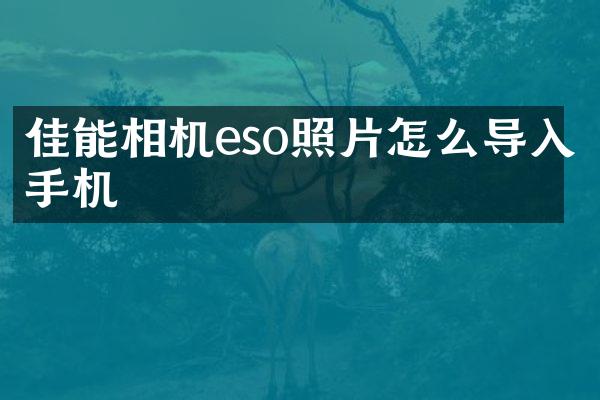 佳能相机eso照片怎么导入手机